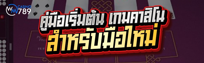 คู่มือเริ่มต้น เกมคาสิโน สำหรั