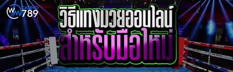 วิธีแทงมวยออนไลน์สำหรับมือใหม่