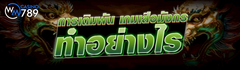 การเดิมพัน เกมเสือมังกร ทำอย่า